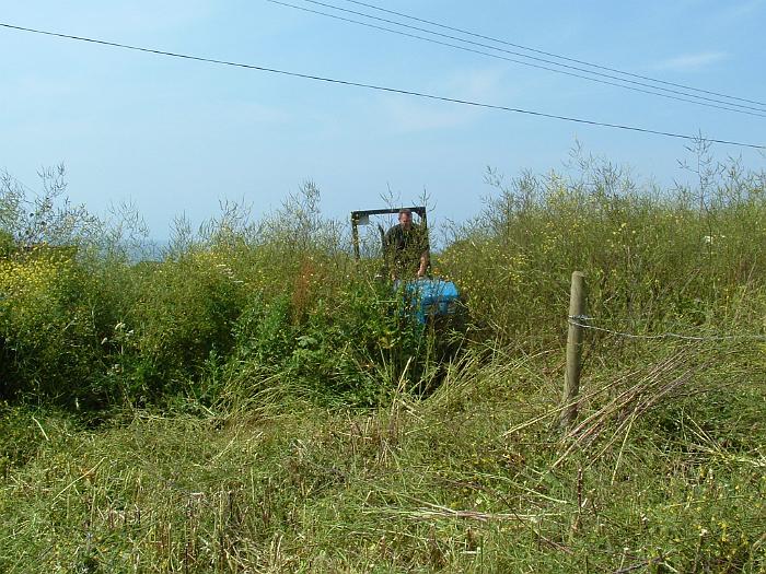 2 Clearing the Field (6)